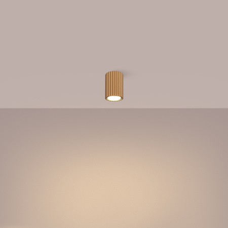 Bodové reflektorové stropné svietidlo Tuba 1x GU10 Gold Carbon Deep Space SL.1549 Sollux