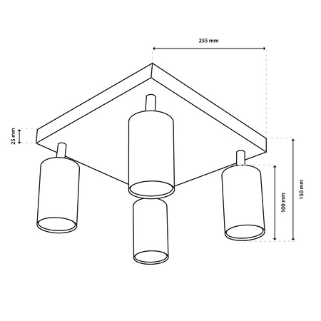 Stropné svietidlo Plafond SPOT TUBA Reflektor Halogénové svietidlo 4x GU10 TABULA LUMILED
