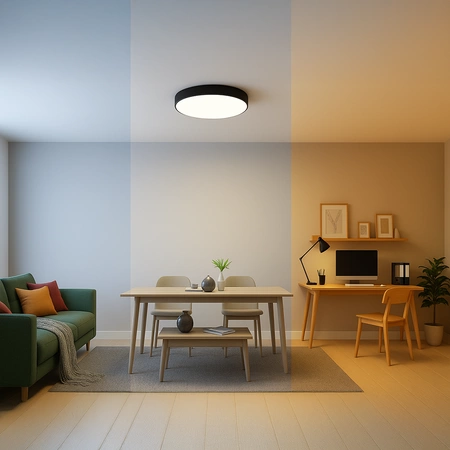 Plafond LED stropné svietidlo Záhradné nástenné svietidlo Vonkajšie 24W 2500lm 2800-6000K IP44 Čierna Priemyselná Tartu Rabalux
