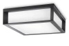 Vonkajšia záhradná lampa Plafond 2x E27 IP44 Anthracite Skies Philips