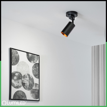 LUMILED HUMA RAIL KIT BLACK + SAGI RAIL SPOTLIGHT BLACK AND GOLD