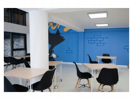 Plafond Stropné svietidlo 2x E27 Kúpeľňa Povrchová montáž 140° so senzorom pohybu IP44 Square Silver Solen Masterled