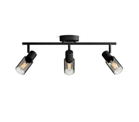 Stropné svietidlo reflektor 3x E14 Black Palms Philips