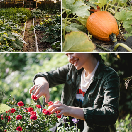 Záhradná hadica 15 m Kvapková závlaha DRIP 1/2" CELLFAST