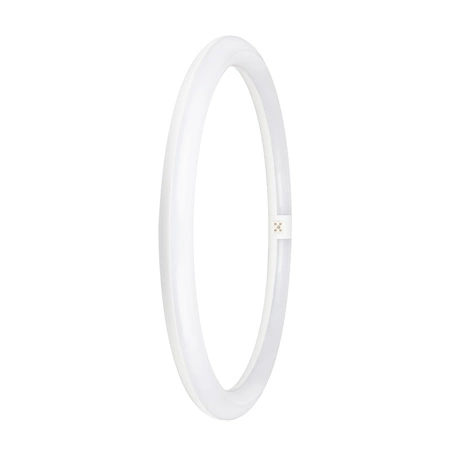 LED T9 Circular G10q 24W = 40W 2900lm 6500K, studená biela 110° LED TUBE EM Osram
