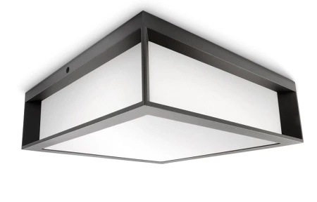 Vonkajšia záhradná lampa Plafond 2x E27 IP44 Anthracite Skies Philips