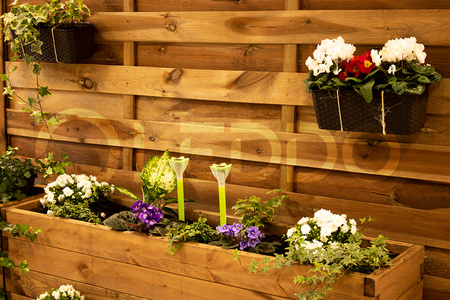 Záhradná lampa LED so solárnym pohonom TULIPANEK Green