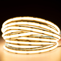 LED pás COB 12V 250W 9600LED NEON teplý 8mm 25m