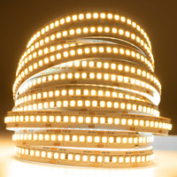 LED pásik 12V 120W 1200LED 2835 teplá biela 10mm 5m