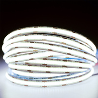 LED pás COB 12V 50W 1920LED NEON IP65 studená biela 8mm 5m