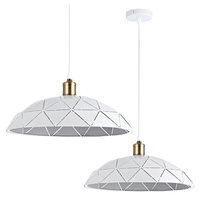 Stropné svietidlo Masterled Hanging E27 White Copper Dahlia