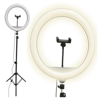 LED stojaca lampa 15W 330lm 2700-4000-6500K, teplá biela 360° čierna stmievateľná SELFIE Sanico Goldlux