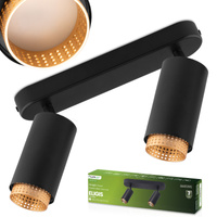 LED bodové stropné svietidlo 2x GU10 Tuba Spot ELIGIS Black LUMILED