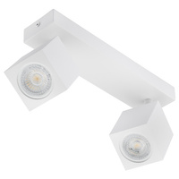 Stropné reflektorové nástenné svietidlo 2xGU10 QUANTUS White